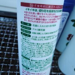 観音寺 生け花 切り花 延命剤セット イキイキ 5本 クリザール 1本 花瓶 花束 花器 華道 フラワーアレンジメントの画像