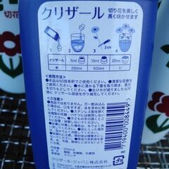 観音寺 生け花 切り花 延命剤セット イキイキ 5本 クリザール 1本 花瓶 花束 花器 華道 フラワーアレンジメントの画像