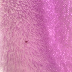 紫ジャンバー　ユニクロ150cmの画像