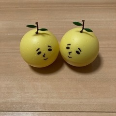 ゆず　ゆずの輪会報誌　お譲りしますの画像