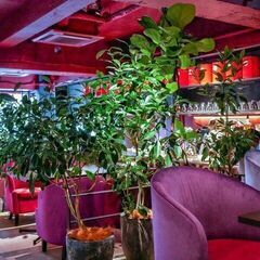 11月7日(月) 16：00 -開催 三宮＊GREEN HOUS...