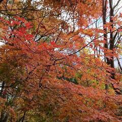 カメラ初心者です。 - 友達
