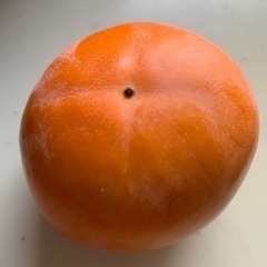 柿　格安　種有り　受渡者決定致しましたの画像