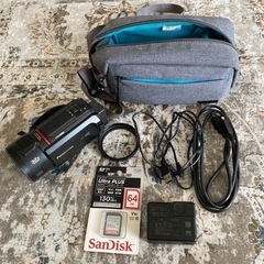 ハーキュリー血統証明付 2令幼虫 郵送しません‼️