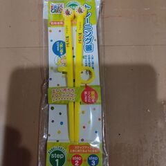 新品🌻　はらぺこあおむしのトレーニング箸🥢