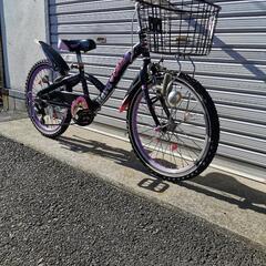 【整備士による点検済】タイヤ新品 20インチ LEDダイナモライト子供用自転車 防犯登録料込!! [No.187]の画像