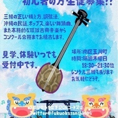 沖縄三線生徒募集