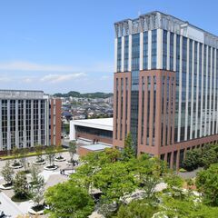 【フラ 男性フラ 入門】古典フラで学ぶハワイの歴史と文化（全6回...