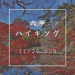 秋🍁森林浴と紅葉を満喫🍁初心者みんなで楽しむ六甲山ハイキングツアー