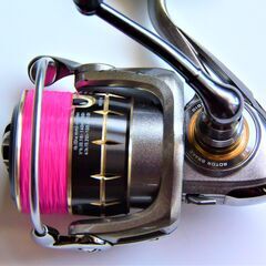 ダイワ.レガリス2506SHの画像