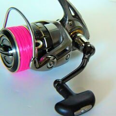 ダイワ.レガリス2506SHの画像