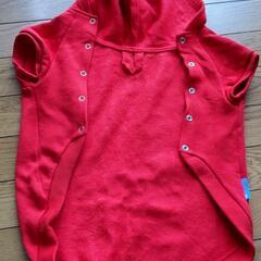 犬用　洋服の画像