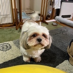 里親になってください - 綾部市