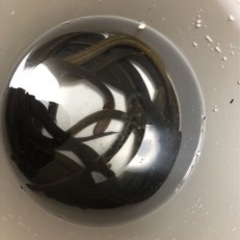 天然ウナギ　100g 〜  200g  10本の画像