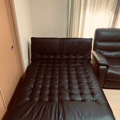 ソファベッド　関東エリアにお住まいの方無料でお届けします！（まずはお住まい地域をご相談下さい）の画像