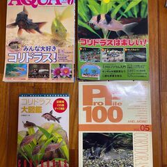 【取引決定】アクアリウム、熱帯魚、コリドラスなどの本の画像