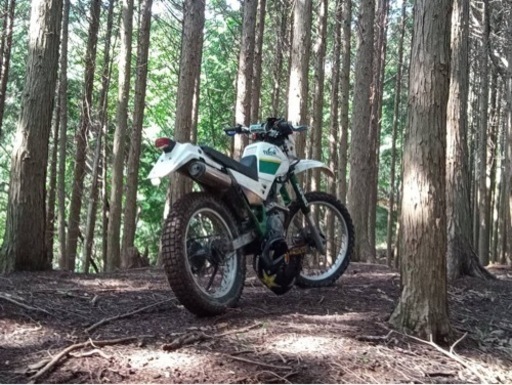 YAMAHA セロー225 滋賀県　代理出品