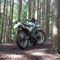 YAMAHA セロー225 滋賀県　代理出品