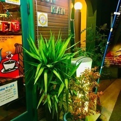 カフェレストラン　ホールスタッフ募集の画像