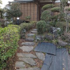 中学生の英語の集団授業をお願いします。【髪色自由】の画像