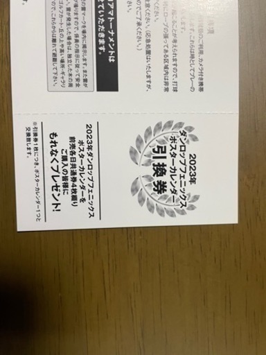 ダンロップフェニックストーナメントチケット