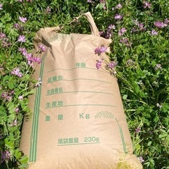 令和4年度　ありがとうございました、完売致しまた！新米多可町産れ...