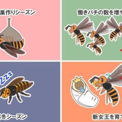 蜂駆除　スズメバチ駆除　害虫　蜂の巣　蜂退治 - いわき市