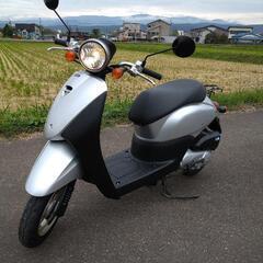HONDA TODAY AF67(実動/書類つき)