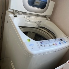 最終値下げ　11/3処分　白い約束　6.5kg