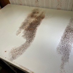 カルテケース　書類棚　棚　レトロ　医療棚の画像