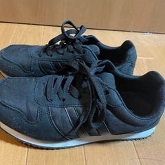 靴　Lサイズ〔24.5~25.0〕