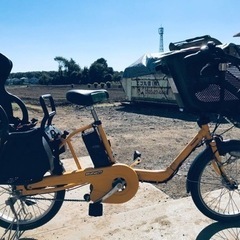 794番　電動自転車