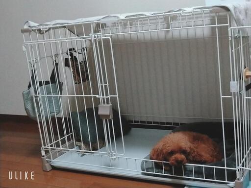 ペットゲージ　小型犬