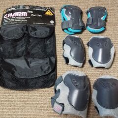 インラインスケート パッドセット 中古