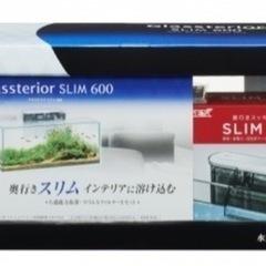 GEX グラステリアスリム600 GTS600