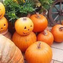 おおきなカボチャをください。（ハロウィンでみかけるような）
