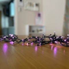 【クリスマス】ツリーに♪イルミネーションライトの画像