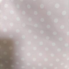 水玉のれん②の画像