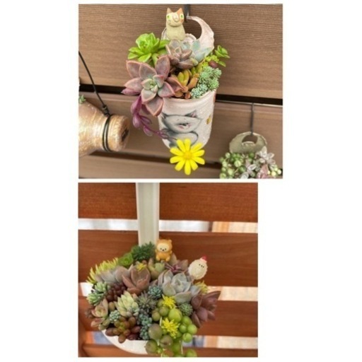 レードル型　猫リメイク缶多肉植物寄せ植え