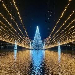 11/２(水) ゆる〜くウォーキング🏃🏻‍♀️🏃🏻しませんか⁇ 👟 - メンバー募集