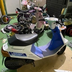 カスタムベースに‼︎ チャンプ実働の画像