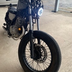 グラストラッカー 250の画像