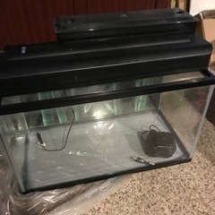 600水槽セット中古の画像