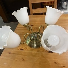 照明