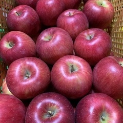 旬の完熟りんご🍎シナノスイート1kg~
