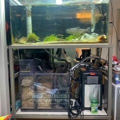 海水 水槽 クーラーの人気商品・通販・価格比較 - 価格.com