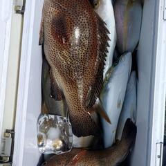 宮崎県北　釣り仲間募集