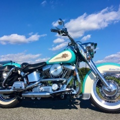 たまに走れたら‥