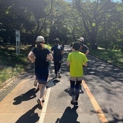 11月　3日と6日　ラン仲間募集