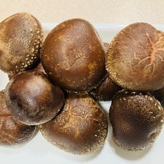 採れたて原木椎茸100gあたり